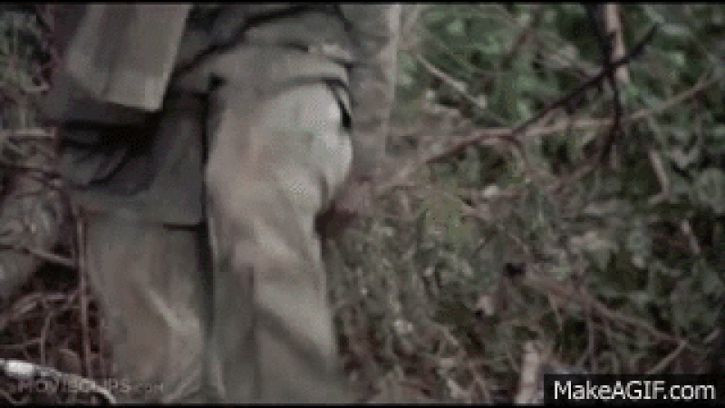 越南战争电影美国电影（十大经典越战电影）-