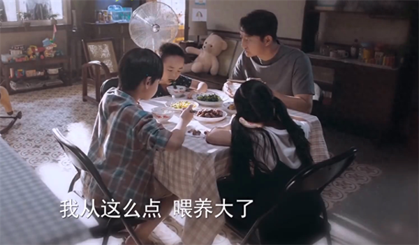 以家人之名剧情介绍（以家人为名电视剧故事梗概）-