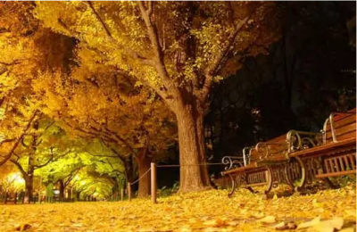 ​疫情后湖北景点：钟祥水没坪村，宣恩彭家寨，五龙河，利川齐岳山