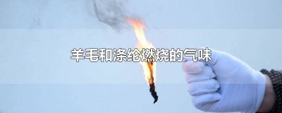 ​羊毛纤维燃烧产生的气味 合成纤维棉纤维羊毛纤维燃烧气味