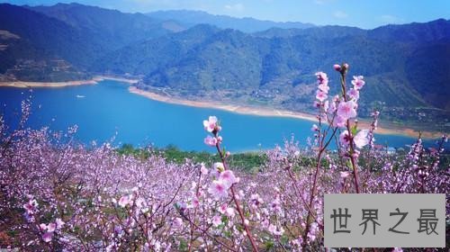 最值得一去的十大踏青地，这些地方你怎么能错过呢