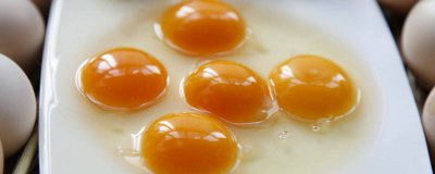 ​蛋黄油的吃法用法 鸡蛋黄油怎么服用