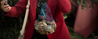 ​钓螃蟹小技巧 钓螃蟹的方法技巧