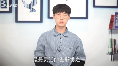 ​啄木鸟和燕子都是鸟类吗为什么 啄木鸟和燕子都是鸟类吗对吗