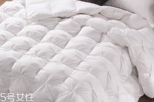 羽绒被可以晒吗?羽绒被知识大全 羽绒被可以晒吗?羽绒被知识大全