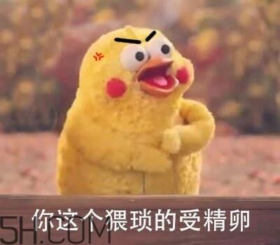 你这个猥琐的受精卵是什么意思?你这个猥琐的受精卵表情包 你这个猥琐的受精卵是什么意思?你这个猥琐的受精卵表情包