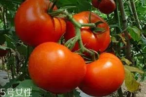 空腹不能吃什么?这4种最好不要吃 空腹不能吃什么?这4种最好不要吃