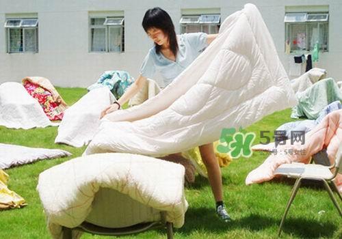 三伏天能晒被子吗?三伏天晒被子好吗? 三伏天能晒被子吗?三伏天晒被子好吗?