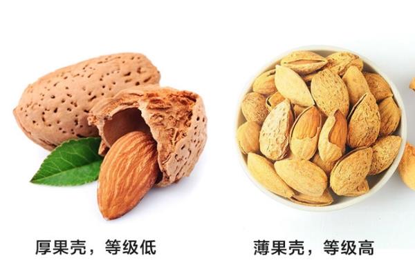 巴旦木等级怎么分 外壳越薄等级越高 巴旦木等级怎么分 外壳越薄等级越高