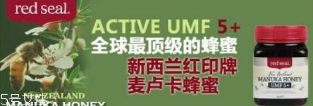 麦卢卡蜂蜜哪个牌子好？