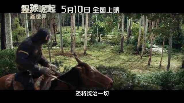 影视《猩球崛起:新世界》定档海报及预告 5月10日上映 5