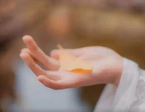 186b2ebab052746bb065a99f0c644178.png image.png