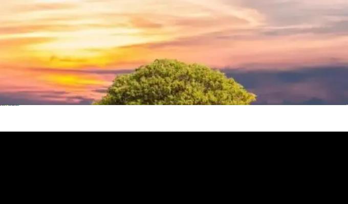 db976c4deb5e6708e772bfb0b70c8fd3.png 微信截图_20230629153243.png