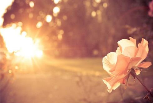 624ad319abba92825af77ef16a654e60.png image.png