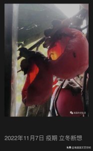 ​发朋友圈卖白酒文字(朋友圈卖白酒的文案)