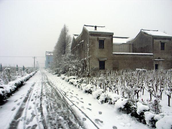 农村数九歌:三九四九冰上走,今年过年是几九,会不会很冷呢