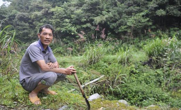 农村越生越穷,越穷越生,背后是什么原因?不能只怪农民