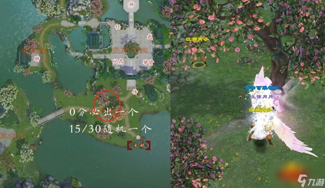 天龙宵小坐标在哪里(天龙宵小坐标图文讲解,让你不再迷路)