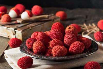 ​荔枝籽怎么种才能发芽