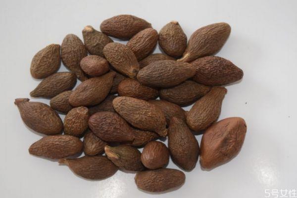 什么是胖大海呢 胖大海有什么作用呢 什么是胖大海呢 胖大海有什么作用呢