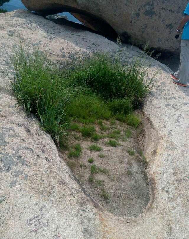 钟灵毓秀,海边仙山------即墨鹤山