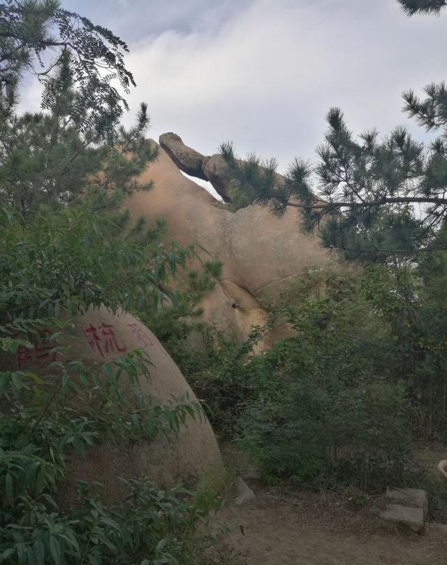 钟灵毓秀,海边仙山------即墨鹤山