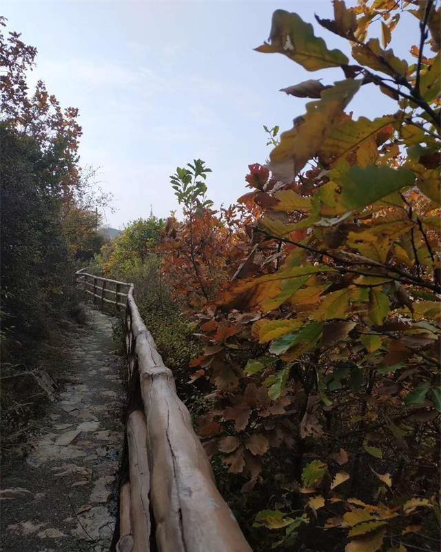 天津蓟县梨木台山水人家农家院,一定会给您的旅行增添无限快乐