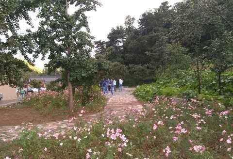 天津蓟县梨木台山水人家农家院,一定会给您的旅行增添无限快乐