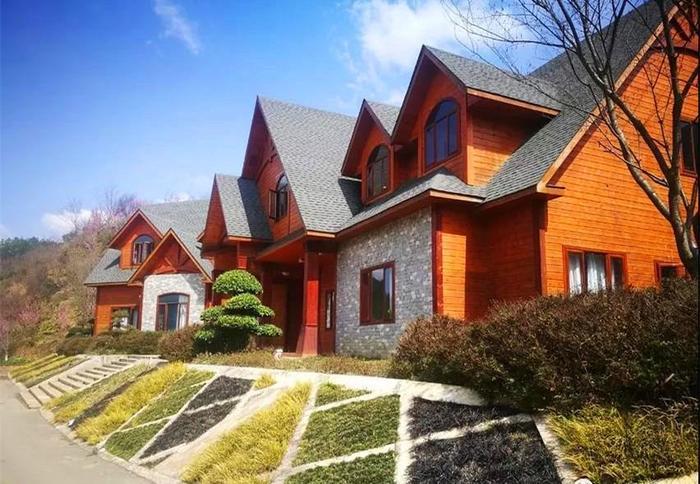 快!别让新蒲樱花谷的樱花雨溜走了