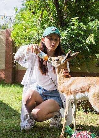 年仅19岁宋祖儿登女演员榜单第三名，是有实力还是有潜规则？