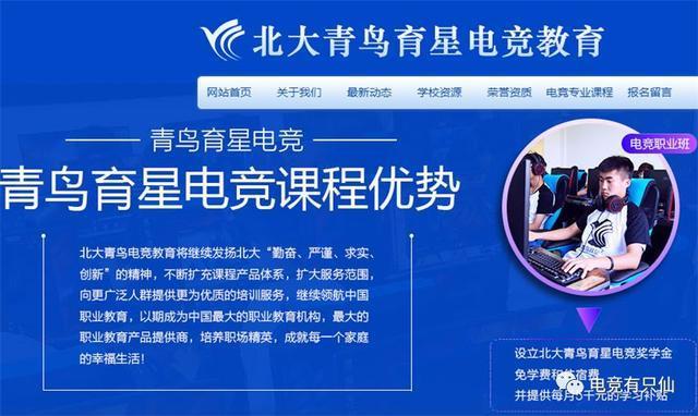 LOL:北大青鸟和蓝翔技校都去搞战队了,网友:就差新东方了!