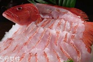 东星斑可以养殖吗 东星斑怎么养殖