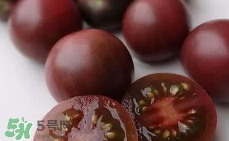 黑番茄是转基因吗?黑番茄是转基因食品吗 黑番茄是转基因吗?黑番茄是转基因食品吗