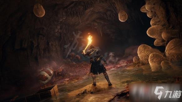 《艾尔登法环》为什么叫老头环