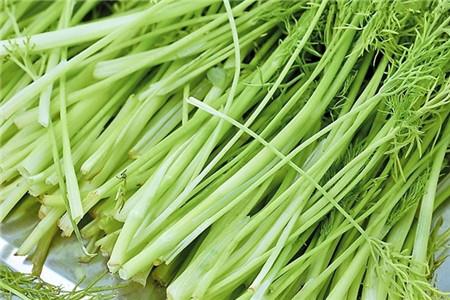 芹菜 芹菜