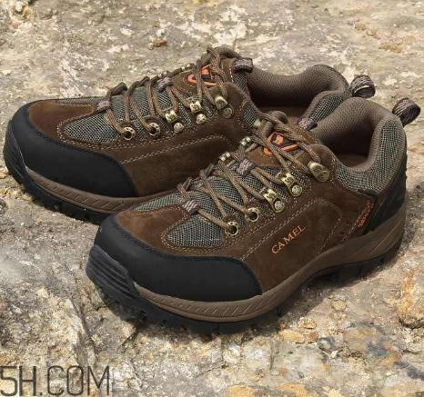 骆驼是什么牌子?骆驼是什么档次? 骆驼是什么牌子?骆驼是什么档次?