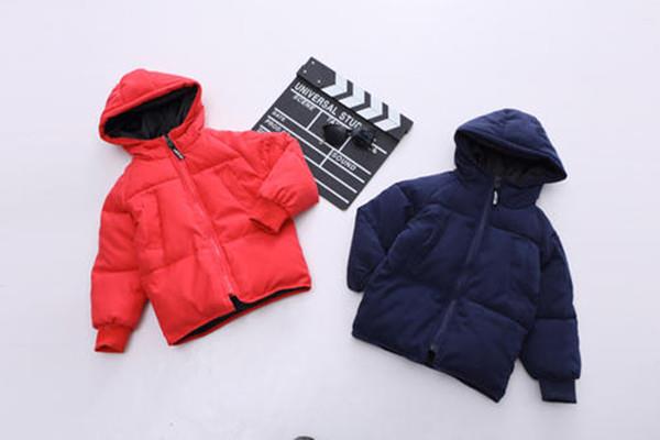 羽绒棉是什么 羽绒棉怎么清洗保养 羽绒棉是什么 羽绒棉怎么清洗保养