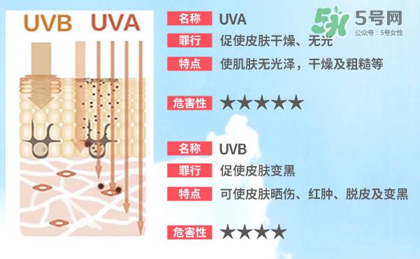 泊泉雅防晒霜多少钱?泊泉雅防晒霜怎么样? 泊泉雅防晒霜多少钱?泊泉雅防晒霜怎么样?