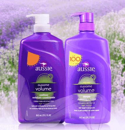 袋鼠洗发水去哪买?袋鼠洗发水怎么买? 袋鼠洗发水去哪买?袋鼠洗发水怎么买?