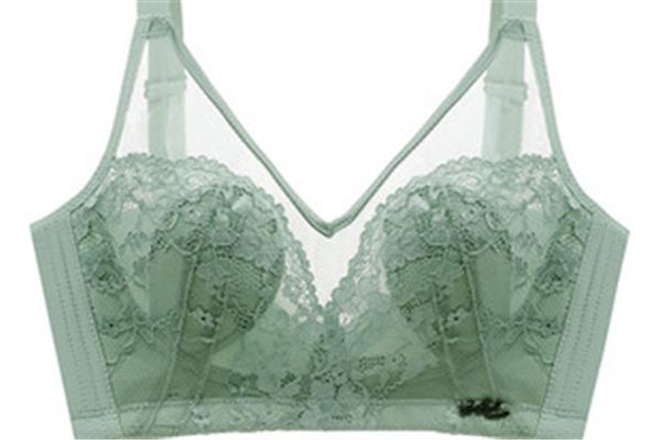内衣有丰胸的效果是真的吗 内衣真的可以塑形吗 内衣有丰胸的效果是真的吗 内衣真的可以塑形吗