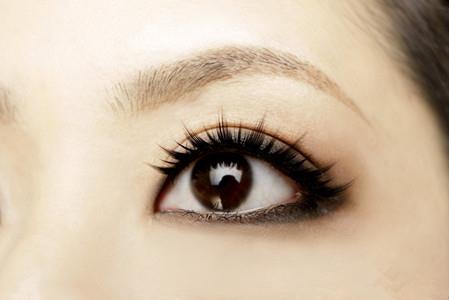 1449647880164187.jpg 小.jpg