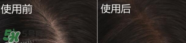 the saem得鲜发际线粉怎么样?得鲜发际线粉怎么用 the saem得鲜发际线粉怎么样?得鲜发际线粉怎么用