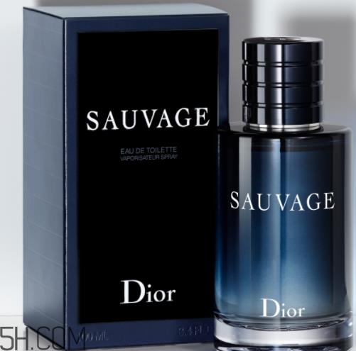 dior迪奥旷野男士淡香水好闻吗?频频断货的魅力香水 dior迪奥旷野男士淡香水好闻吗?频频断货的魅力香水
