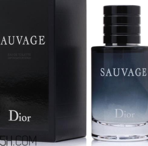 dior迪奥旷野男士淡香水好闻吗?频频断货的魅力香水 dior迪奥旷野男士淡香水好闻吗?频频断货的魅力香水