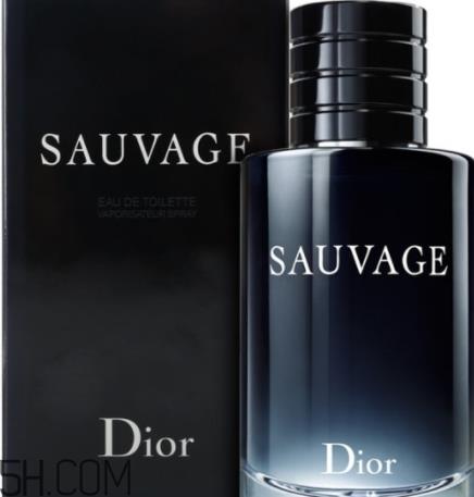 dior迪奥旷野男士淡香水好闻吗?频频断货的魅力香水 dior迪奥旷野男士淡香水好闻吗?频频断货的魅力香水