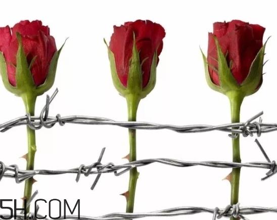 serge lutens芦丹氏柏林少女香水香评 柏林少女香水介绍 serge lutens芦丹氏柏林少女香水香评 柏林少女香水介绍