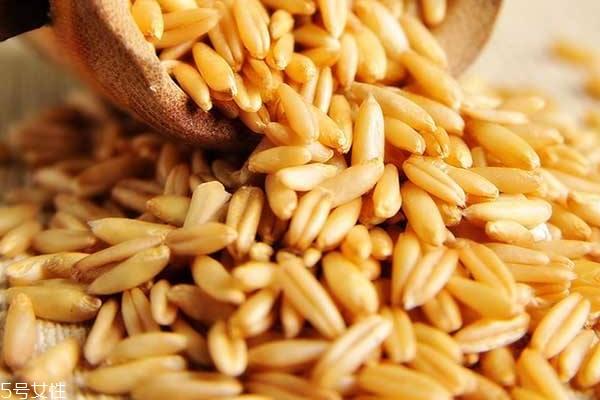 燕麦护肤品对皮肤好吗 燕麦护肤品有哪些 燕麦护肤品对皮肤好吗 燕麦护肤品有哪些