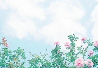 ​微信受限制了如何办