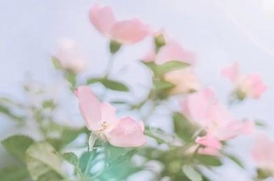 ​吸塑板和烤漆哪个好？衣柜门烤漆好还是吸塑好