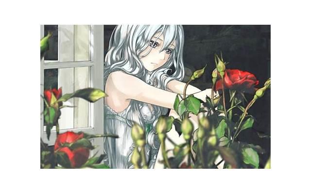 怎么给女生表白有仪式感(跟女生表白怎么开口) 怎么给女生表白有仪式感(跟女生表白怎么开口)